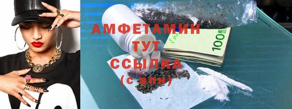 дмт Богданович