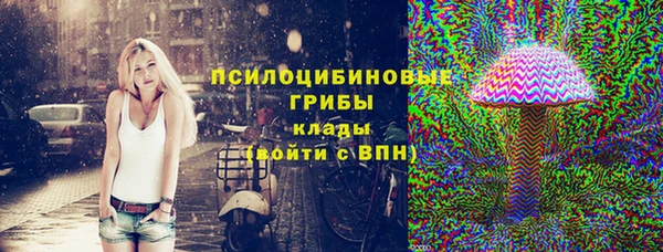 гидра Белоозёрский